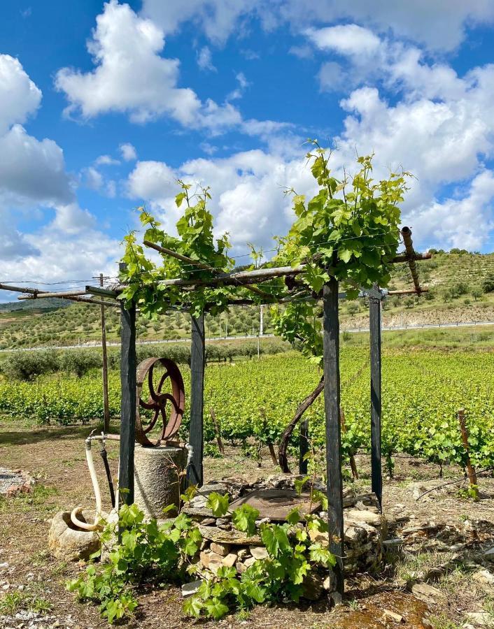 Quinta Do Chao D'Ordem Villa Vila Nova de Foz Coa Esterno foto