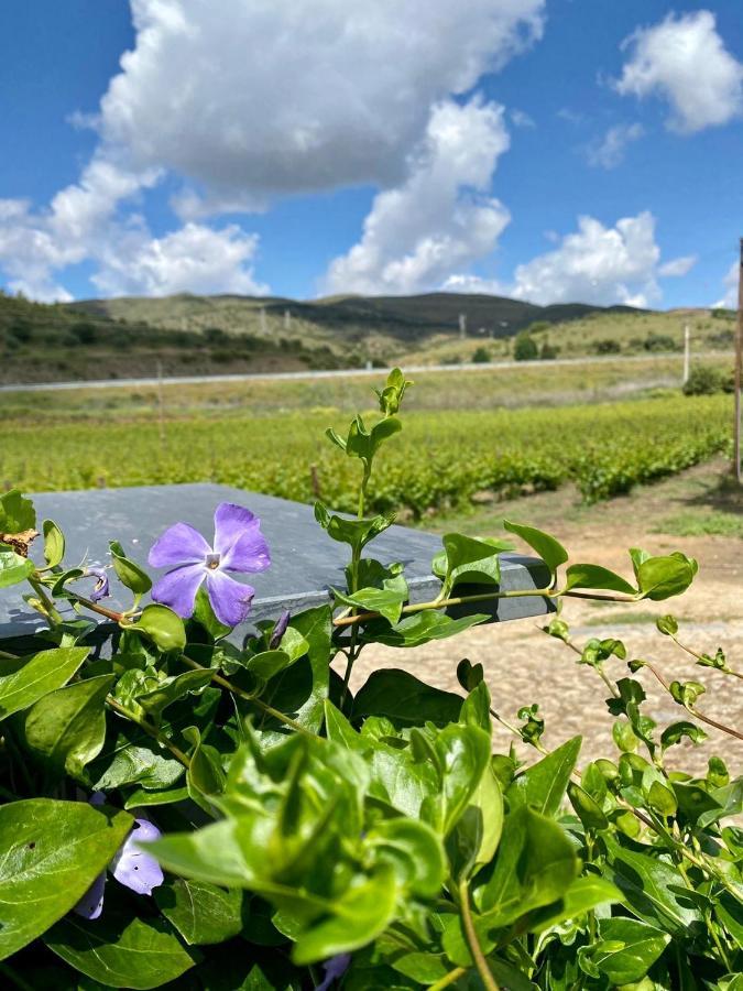 Quinta Do Chao D'Ordem Villa Vila Nova de Foz Coa Esterno foto